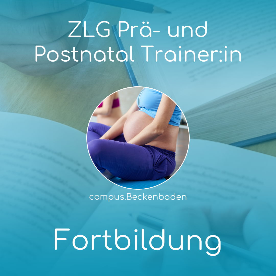 Zertifikatslehrgang Prä- und Postnatal Trainer:in