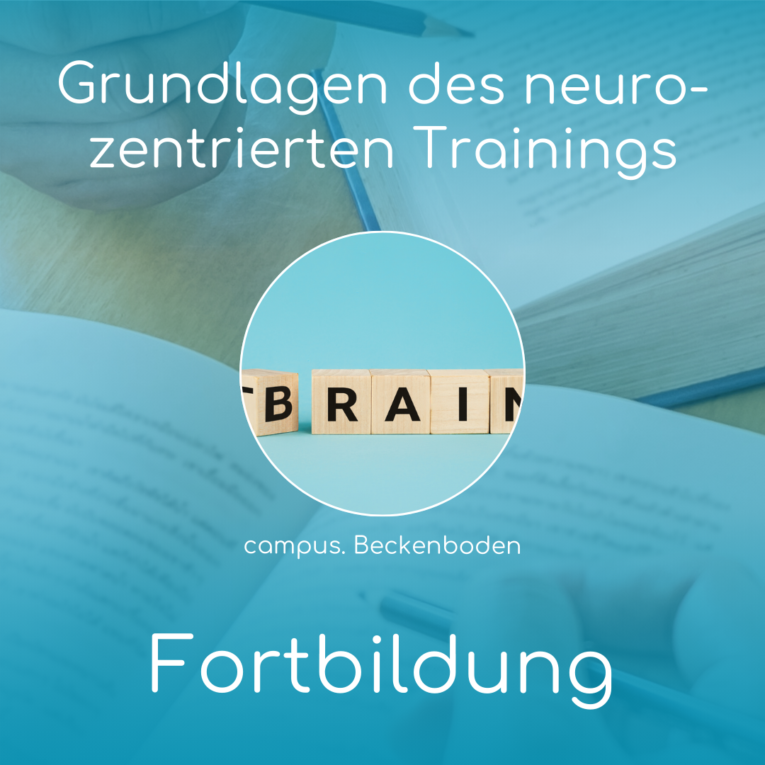 Grundlagen des neurozentrierten Trainings | online