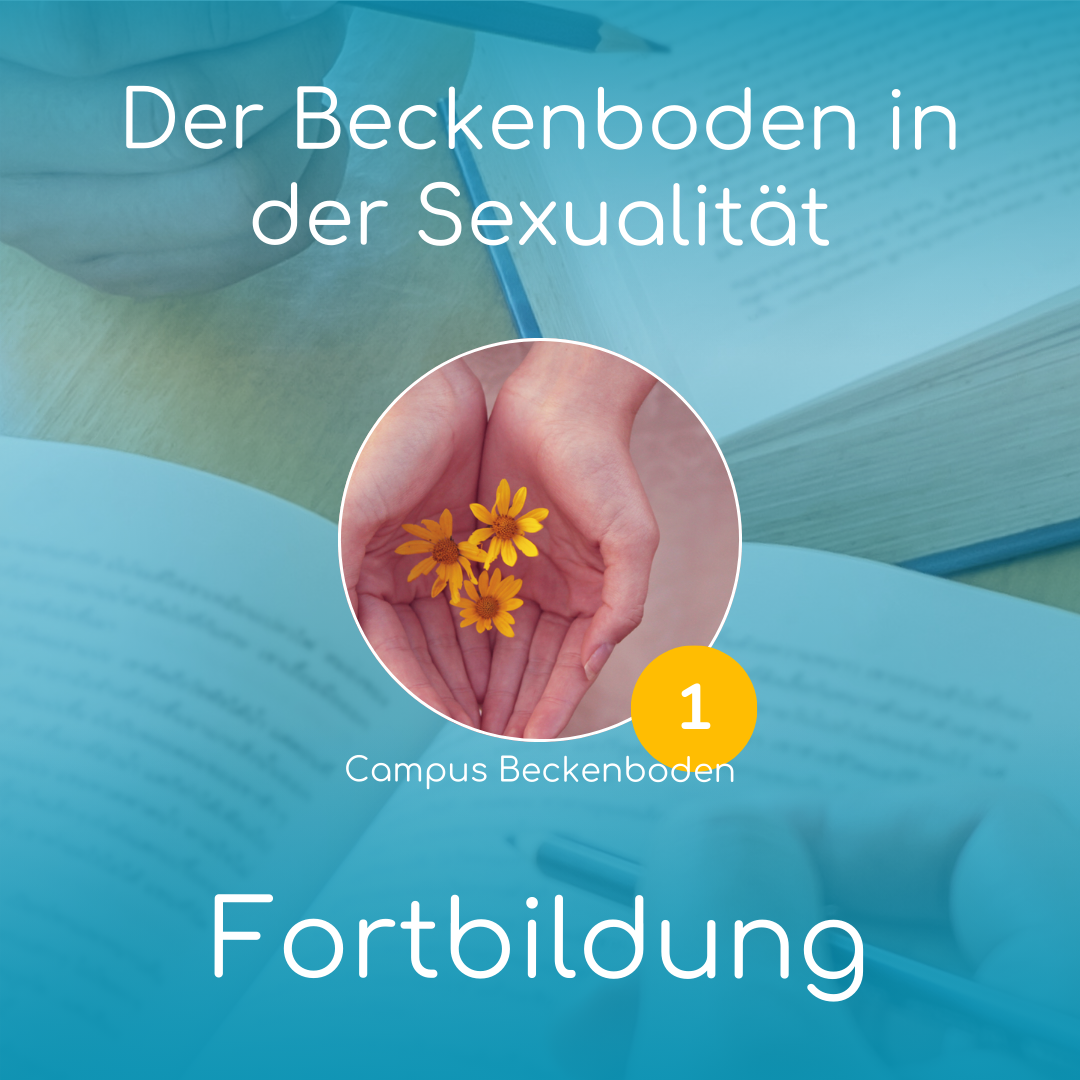 Fachseminar 1: Der Beckenboden in der Sexualität | online