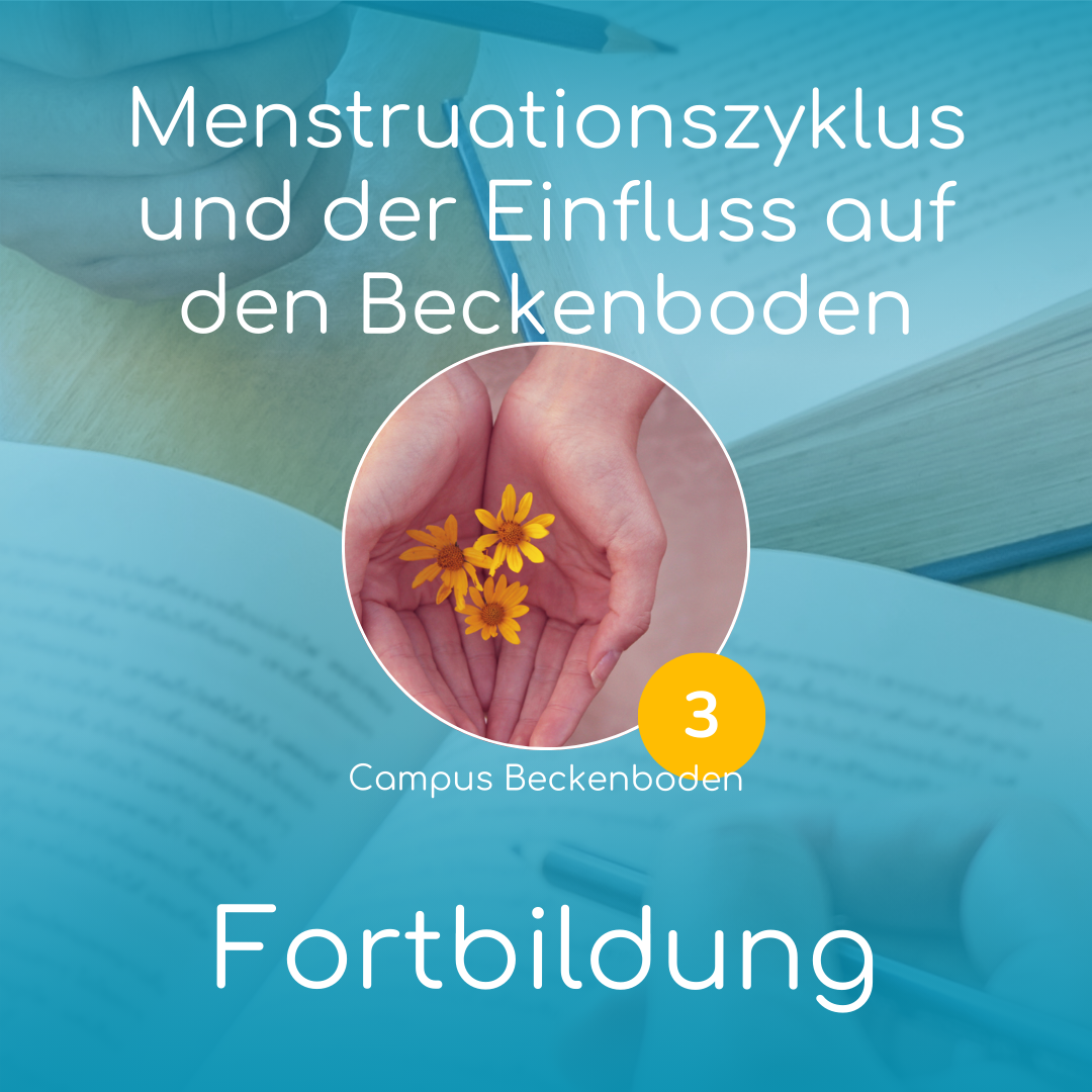 Fachseminar 3: Menstruationszyklus und der Einfluss auf den Beckenboden | online