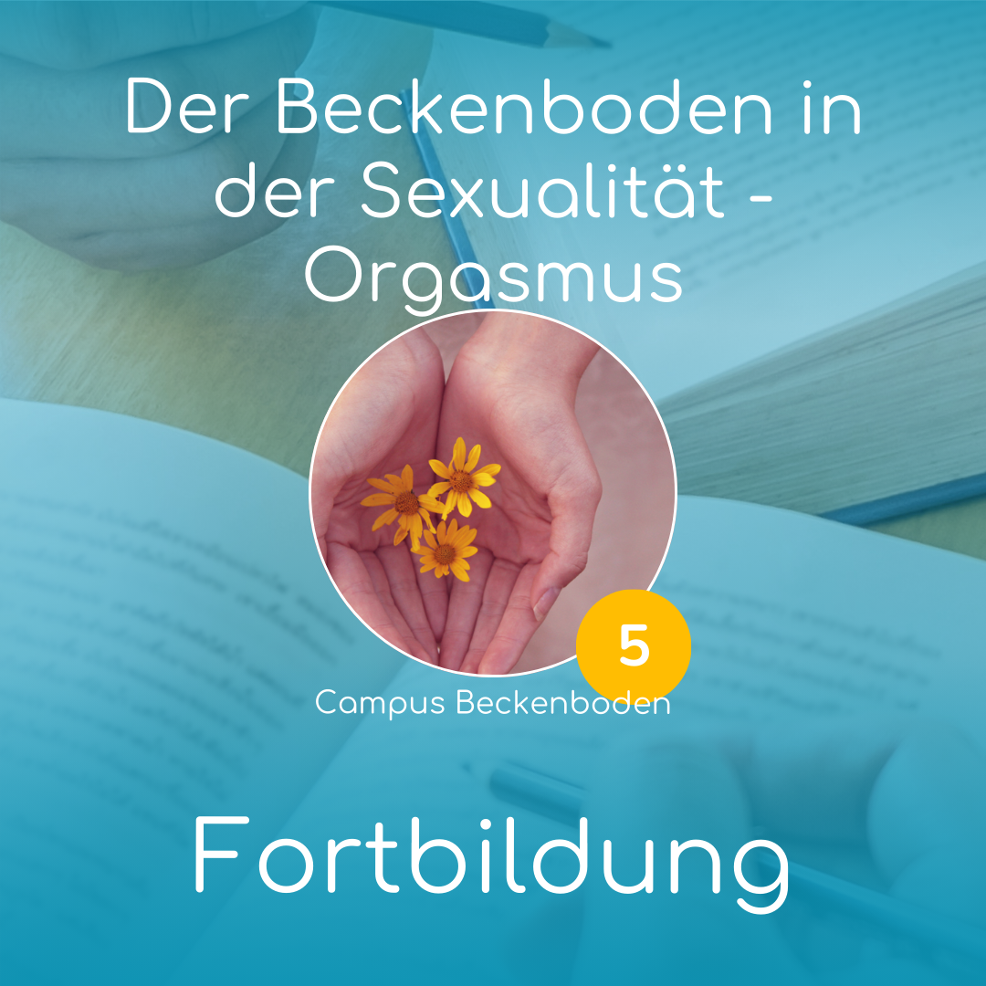 Fachseminar 5: Der Beckenboden in der Sexualität - Orgasmus | online