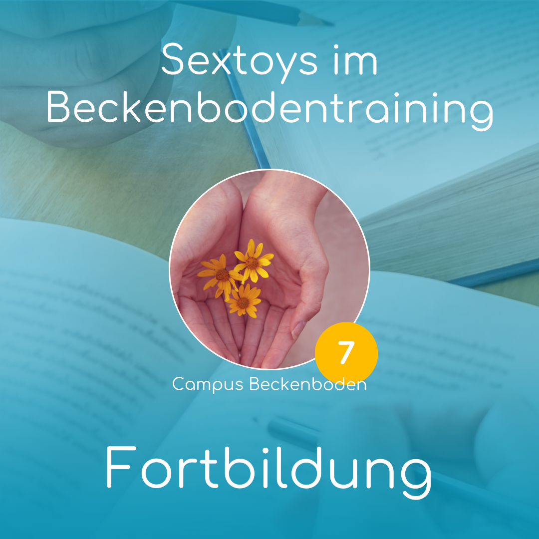 Fachseminar 7: Sextoys im Beckenbodentraining | online
